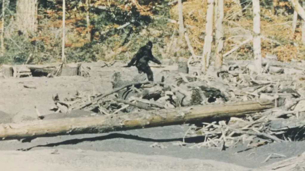 Filmul 4K al Bigfootului: scan nou înainte de documentarul de lansare