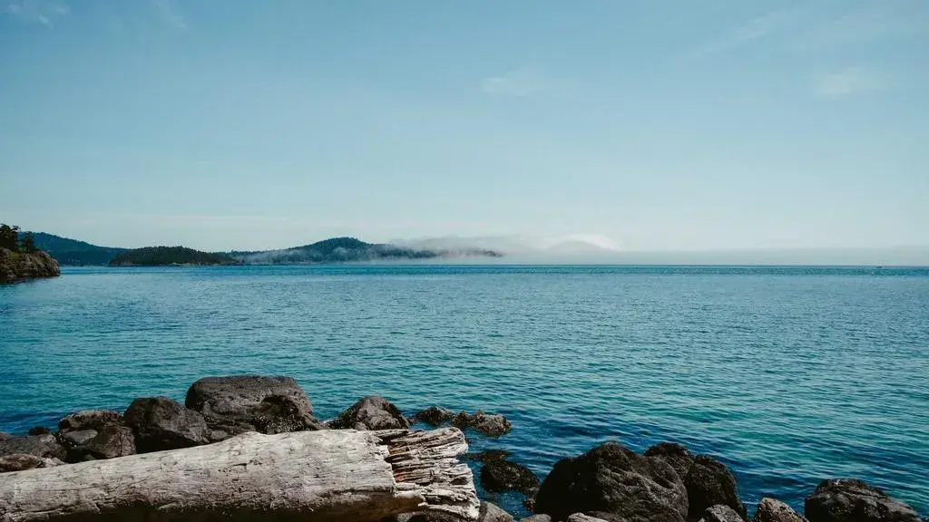 O inimă divizată: Drama exilului în noul film „Apart