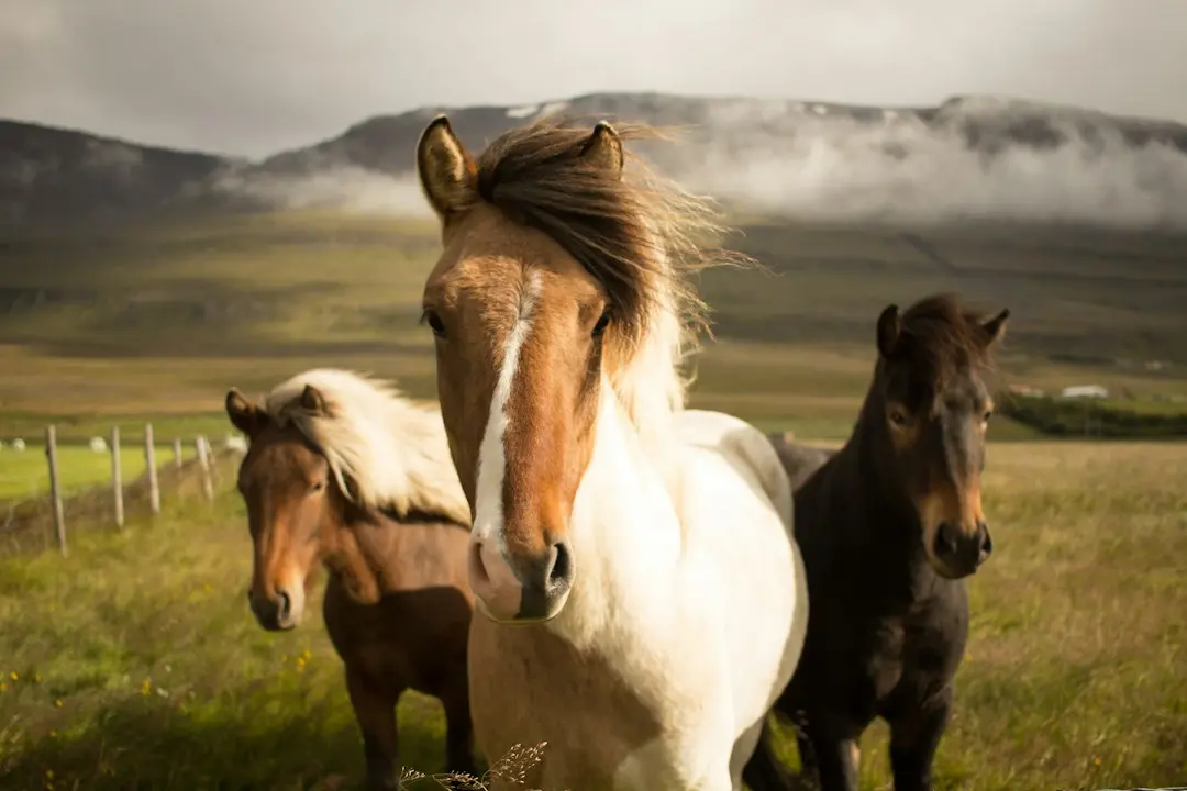 Slow Horses, sezonul 7: Varada Sethu, Tuppence Middleton și Joshua McGuire se alătură distribuției
